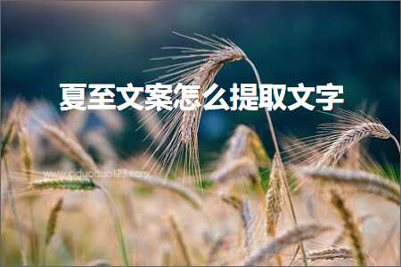 莱芜礼品发票 夏至文案怎么提取文字